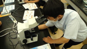 顕微鏡で微生物を確認する生徒の様子